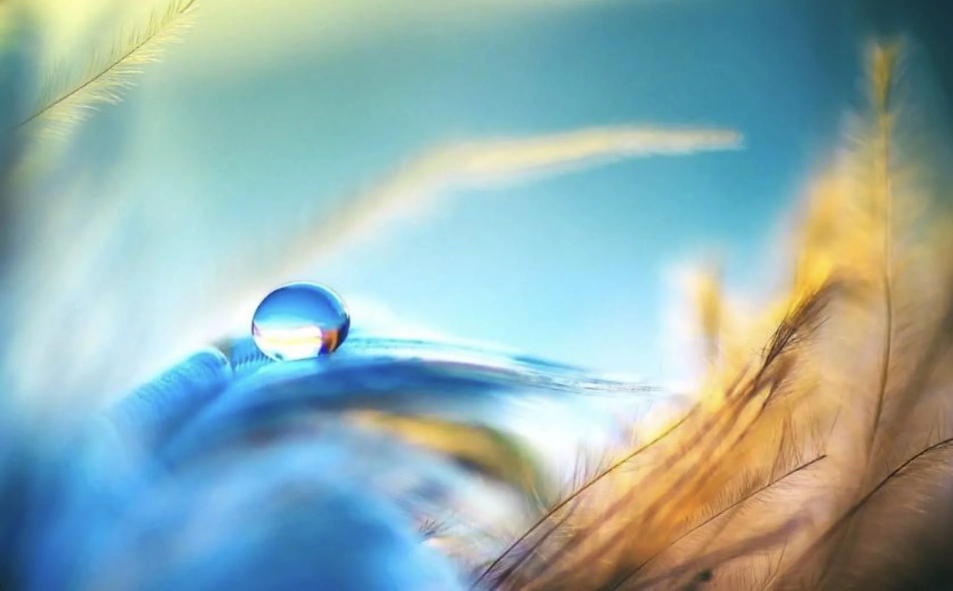 Rééquilibrage Physiologique pour tous